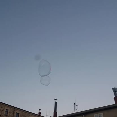 Artista sul palco durante una passata edizione della Sagra della Castagna di Savelli